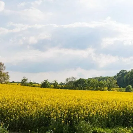度假居 Steinbeck In The Estate Barn Thorstorf
