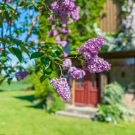 Steinbeck In The Estate Barn