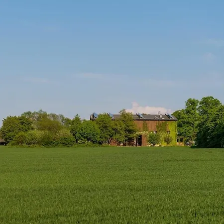 Steinbeck In The Estate Barn