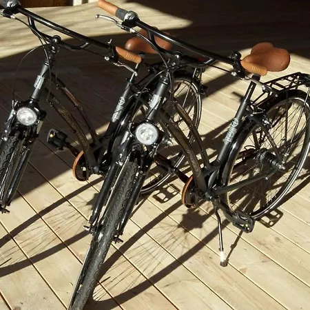 Steinbeck In The Estate Barn *