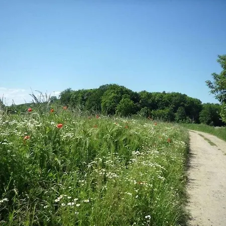 度假居 Steinbeck In The Estate Barn