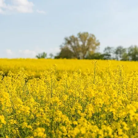 Steinbeck In The Estate Barn 度假居