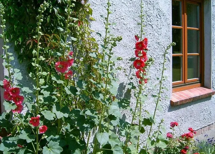 Σπίτι διακοπών Steinbeck In The Estate Barn Thorstorf